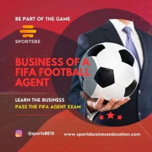 Business of a FIFA Football Agent